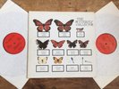 THE JAM - THE BUTTERFLY COLLECTOR VERY RARE DOUBLE LP JM005 PAUL WELLER MOD EX