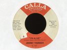 JOHNNY THUNDER I'm Alive on Calla Garage Fuzz Mod 45 Hear