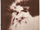 Who The Alice Cooper Quiver Arthur Brown 1971 Programme