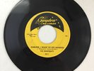 NYC DOO-WOP-HEARTBEATS-GUYDEN-2011-ONE MILLION  YEARS/DARLING, I WANT TO GET...