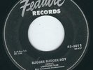 LA Blues Rocker - Lightning Slim FEATURE 3012 Bugger bugger boy / Ethel Mae ?