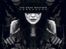 The Dead Weather - Horehound Vinyl LP (2) Third Man NEW