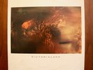 COCTEAU TWINS Victorialand Vinyl LP 1986 4AD Orig UK Press VG+/EX Treasure