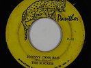 Reggae 45 - Slicker - Johnny (Too) Bad - Panther - mp3
