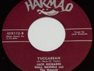 Rare Popcorn 45-JACK RICHARDS-Yuccabean-HARMAD-Hall Daniels & the Naturals-EX+