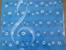 FRANCO GULLI the splendour of violin - ENRICA CAVALLO  / UNICEF