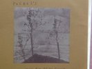 Rachels: Music for Egon Schiele