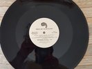 PRINCE MOUNTAINS 2 VERSIONS RARE 12 INCH USA PROMO