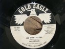 RARE NORTHERN SOUL DOO-WOP 45 1962 DJ PROMO The Persians Gee What a Girl R&B VG