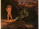 BIG SLEEP Bluebell Wood UK 1971 Orig Pegasus VINYL Prog Psych Eyes of Blue Man