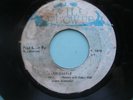 HORACE JOHNSON   Sand Castle  WILD FLOWER   RARE ROOTS REGGAE