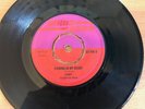 RAINING IN MY HEART / FIRST NOTE/ DANDY LIVINGSTONE SKINHEAD REGGAE VG++ LISTEN