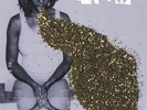 SANTIGOLD NEW VINYL