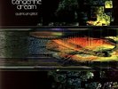TANGERINE DREAM-QUANTUM GATE (UK)  VINYL LP NUOVO