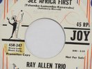 RAY ALLEN TRIO See Africa First JOY 45 mod exotica popcorn VG+ 7” HEAR