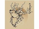 The Flight OF Sleipnir - Algiz / Berkanan Vinyl LP