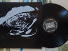 Vaz LP Chartreuse Bull 2011 Hammerhead VG++/VG++