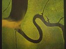 LP DEAD CAN DANCE - the serpent's egg, OIS