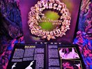 5 LP BOX   Ltd Ed + BOOK   Mighty BLACK SABBATH Metal Masters HARD HEAVY PSYCH