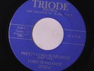 LORD SUNDANCE: Pretty Lord Sundance / Part 2 45 (sleazy demented Novelty Popcor
