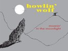 Howlin' Wolf - Moanin' In The Moonlight (LP, Vinyl 180g) - Vinyl Blues
