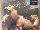 INTERPOL OUR LOVE TO ADMIRE 10TH ANNIVERSARY CLEAR WHITE SMOKE VINYL LP