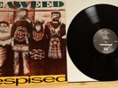 Seaweed - Despised 12