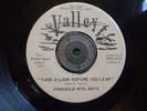Pinnacle Mountain Boys Take a look before you leap Breakdown Valley  Bluegrass