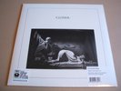 joy division closer Vinyl  LP  Album Reissue 180 Gram mint sealed + mp3 download