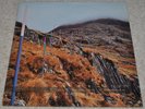 SECTION 25 From the Hip SCARCE ORIG UK 1983 FACTORY RECORDS EX+ LP, SUPERB COPY.