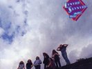 Nuthin Fancy by Lynyrd Skynyrd (200g Vinyl, Jun-2013, Analogue Productions)