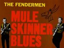 Mule Skinner Blues Fendermen vinyl LP album record USA MG1240 SOMA 1980