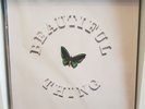 The Stone Roses - Beautiful Thing 12 inch vinyl limited