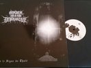 ORDER OF THE DEATH'S HEAD LP DER STURMER MALSAINT HAMMER WOLFNACHT KRISTALLNACHT