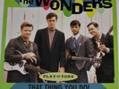 THE WONDERS That Thing You Do 7