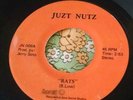 Illinois Hard Rock Proto-Punk Private 45 Juzt Nutz Rats / Electrified Lady HEAR