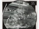 Rage Against The Machine XX 20th Anniversary Ltd. PICTURE Disc LP [Vinyl, NEW]