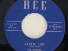 TERMITES Carrie Lou / Give Me Your Heart Bee Doo Wop 45 HEAR