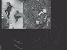 Michael Beharie And Teddy Rankin-Parker - A Heart From Your Shadow (LP, Album...