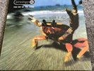 The Prodigy - Fat Of The Land 1997 2 x 12