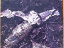 DAVID SYLVIAN HOLGER CZUKAY Plight & Premonition LP Vinyl Venture Virgin US NM