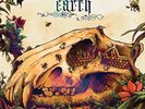 Earth-Bees Made Honey In The Lions S  (UK IMPORT)  VINYL NEW