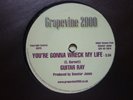 northern soul guitar ray youre gonna wreck/vicki labatt guk grapevine 45 deleted