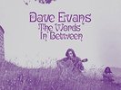 Dave Evans-The Words Inbetween  VINYL NEU