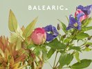 Balearic 2 Vinyl MINT SEALED, Ibiza, Mambo, Cafe Del Mar, Blue Marlin, La Torre