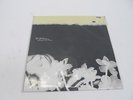 HOPE SANDOVAL & THE WARM INVENTIONS ?