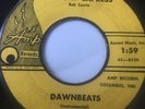 RARE ROCKER 45/ DAWNBEATS 