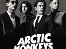 Arctic Monkeys Concert Ticket Birmingham Arena