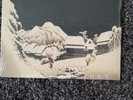 Weezer Pinkerton  On White Marble Vinyl. Limited To 2500