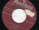 LOS ZIPPS rock de las chamaconas X-MAS WILD ROCKER LATIN mexico LISTEN 1961